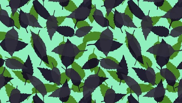 Basil grass leaves and seeds animated seamless pattern. Edible plants. Design element. Looped video background