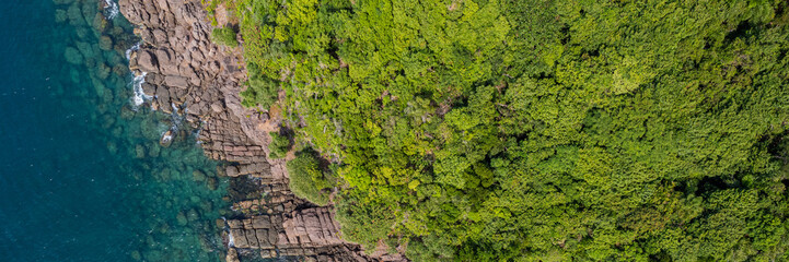 Aerial view of a vibrant coastal ecosystem where lush green forest meets clear ocean water along rocky cliffs