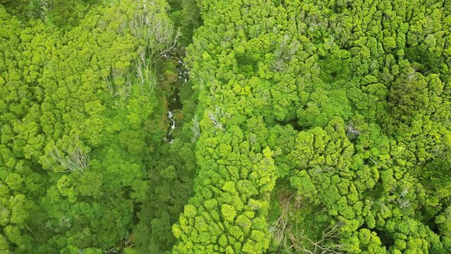 Drone fly over Poco da Ribeira on cloudy day in F Island, azores archipelago