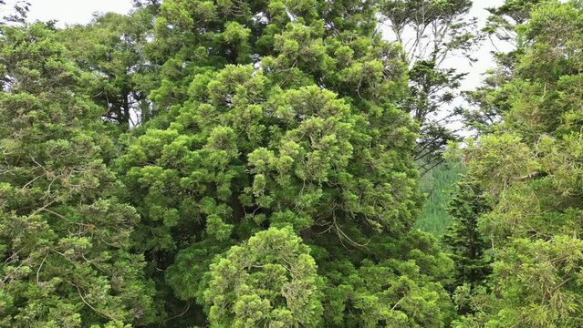 Drone flyover Lagoa do congro in Sao Miguel Island, azores archip