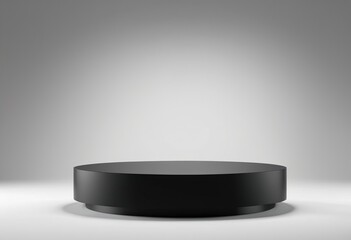 hockey puck on a white