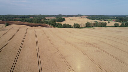 zboża © fasi79