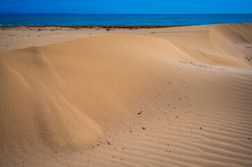 The wild beach of Lignano Sabbiadoro Dune coasts before the arrival of tourists.