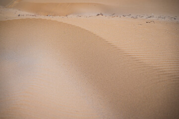 The wild beach of Lignano Sabbiadoro Dune coasts before the arrival of tourists.
