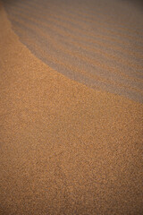 The wild beach of Lignano Sabbiadoro Dune coasts before the arrival of tourists.
