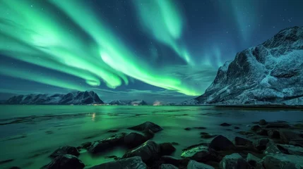 Afwasbaar fotobehang Scenic landscape of aurora over rocky seashore in Norway © Elvin