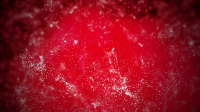 Happy valentines day 2024 motion animation. Abstract motion background shining colorful particles.Seamless 4K loop video.