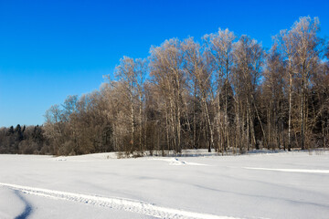 White snow-covered field against the backdrop of a mixed forest on a winter sunny day, January landscape