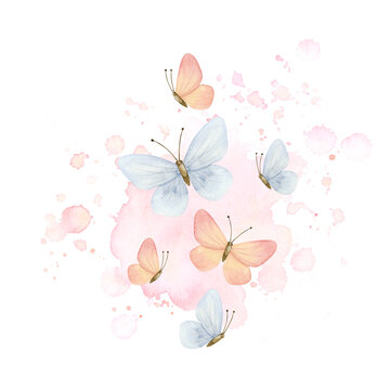 Flying butterflies on watercolor splashes in pastel pink and blue colors illustration isolated on white background for baby shower and gender reveal party cards and baby girl room decor