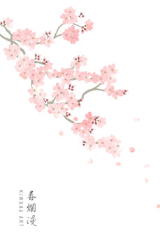 水彩画の桜の花と枝 Sakura branch drawinf in watercolor.