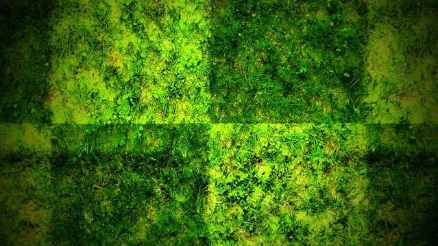 A highly detailed, high-resolution close-up image of lush green moss thriving on a surface. The vibrant growth and intricate textures are prominently displayed