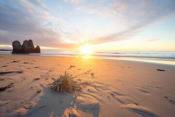 sunrise at beach during summer solstice - obrazy, fototapety, plakaty