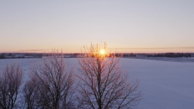 Foggy sunset over the trees from the sky