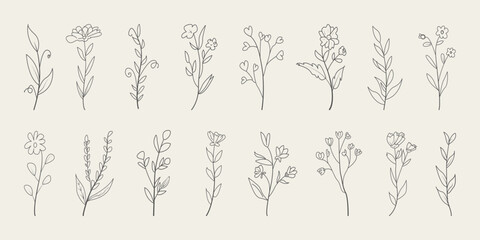 Set of hand drawn minimal tropical flowers and leaves. Botanical line drawing vector.