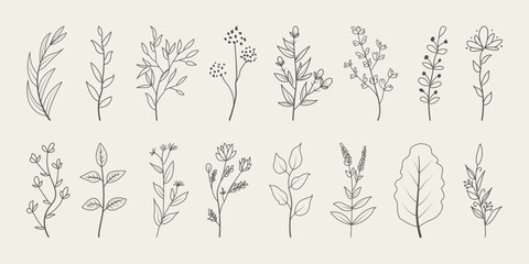 Set of floral botanical doodle. Hand drawn floral branches with leaves. 