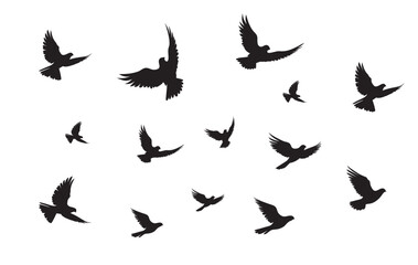 Silhouette of birds flock