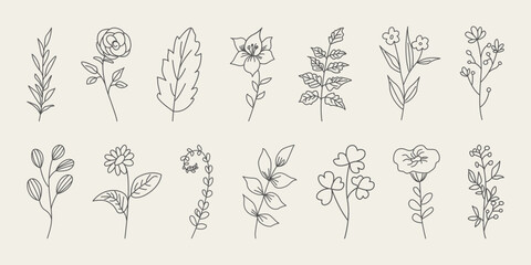 Set of hand drawn flowers, branches and leaves. Doodle style minimalistic flowers with elegant leaves. - obrazy, fototapety, plakaty