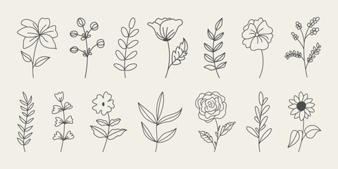 Set of botanical hand drawn leaves, branches, and blooming flowers. - obrazy, fototapety, plakaty
