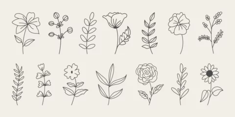 Poster Set of botanical hand drawn leaves, branches, and blooming flowers. © Robin Khan