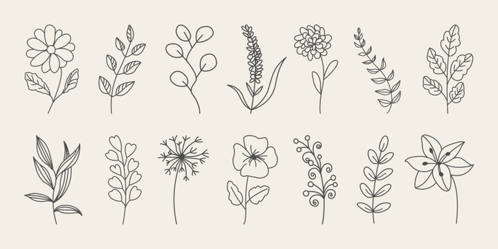 Set of botanical hand drawn leaves, branches, and blooming flowers.