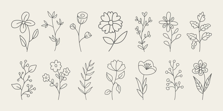 Set of hand drawn flowers, branches and leaves. Doodle style minimalistic flowers with elegant leaves.