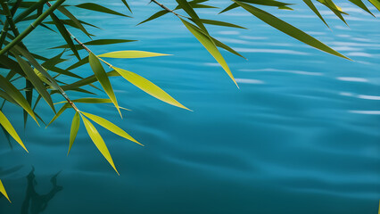 bamboo leaves over water 