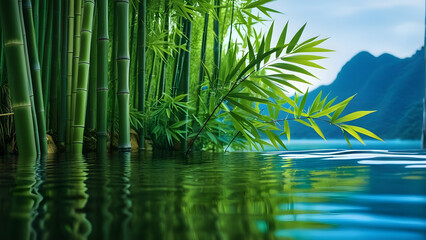 bamboo leaves over water 