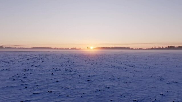 Foggy sunset in the snow