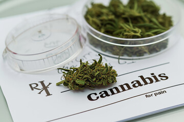 Prescription Cannabis Leaves on Medical Document.
Close-up of cannabis leaves and buds on a prescription form labeled for pain relief.