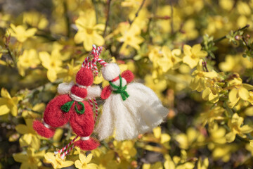 Spring beginning symbol - martenitsa on bush blooming in garden. Traditional trinkets made of red and white thread on 1st of March holiday. Spring background with Martisor and yellow flowers bloom