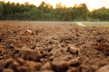 Clean soil for cultivation. The potting soil or peat is suitable for gardening.  Fertile land texture, rural field landscape.