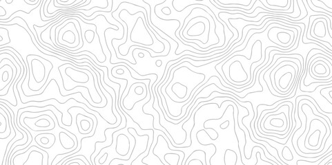 White wave paper curved reliefs abstract background black and white, Background of the topographic line map. Topographic map patterns abstract white topography vector background.