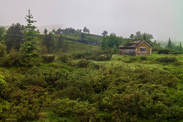 Abandoned seter mountain farm landscape near the village of Utvik, Norway - obrazy, fototapety, plakaty