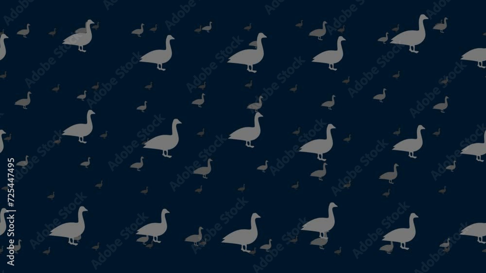 Poster goose symbols float horizontally from left to right. parallax fly effect. floating symbols are locat