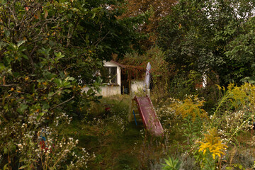 Verwachsener Kleingarten