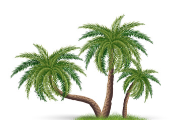 Palm tree composition in realistic style