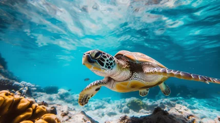 Fotobehang Serene Sea Turtle Gliding Through Colorful Coral Reef AI Generated. © Demo