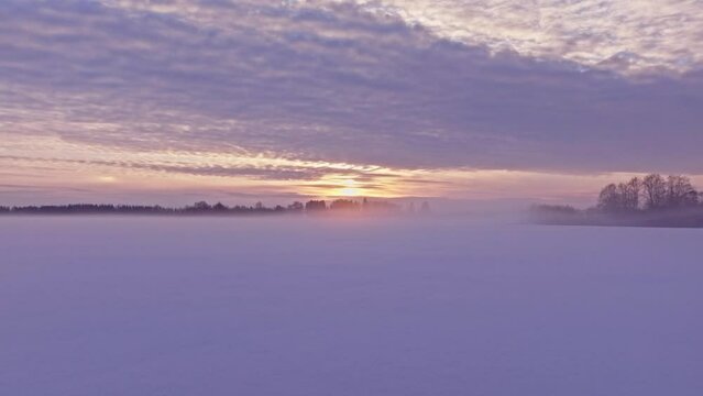 Foggy sunset in winter