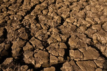 Drougth, The Sau reservoir, at historic low water levels