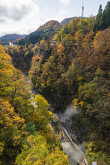日本　秋田県湯沢市の小安峡の河原湯橋から眺める紅葉した木々と蒸気をあげる大噴湯