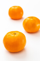 白背景にミカン