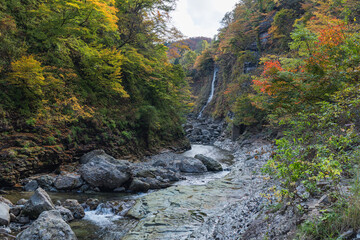 日本　秋田県湯沢市の小安峡の紅葉した木々と滝