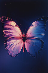 Pink butterfly photogram
