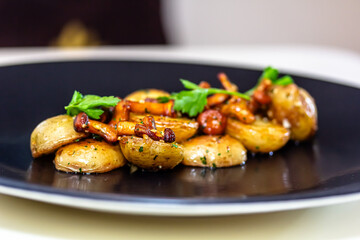 Fried potatoes with bacon and fresh parsley on a black plate