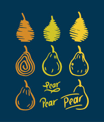 pear set. hand drawn pear symbols