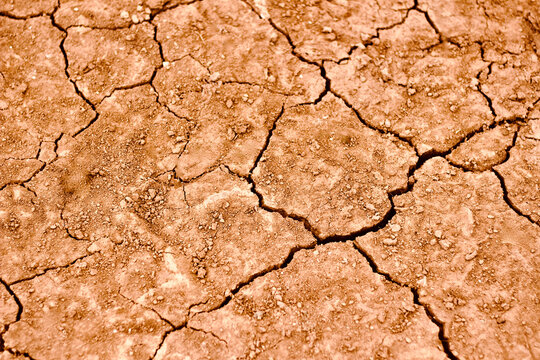 Full frame Close-up of dry cracked earth, Jahorina mountain, near Sarajevo, Bosnia and Herzegovina