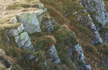 Textured rough rocks with lot of small details close up