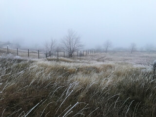 Country side rural scene photo of the morning winter landscape
