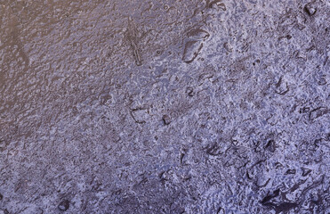Close up of muddy puddle with small stones on wet surface. Background texture