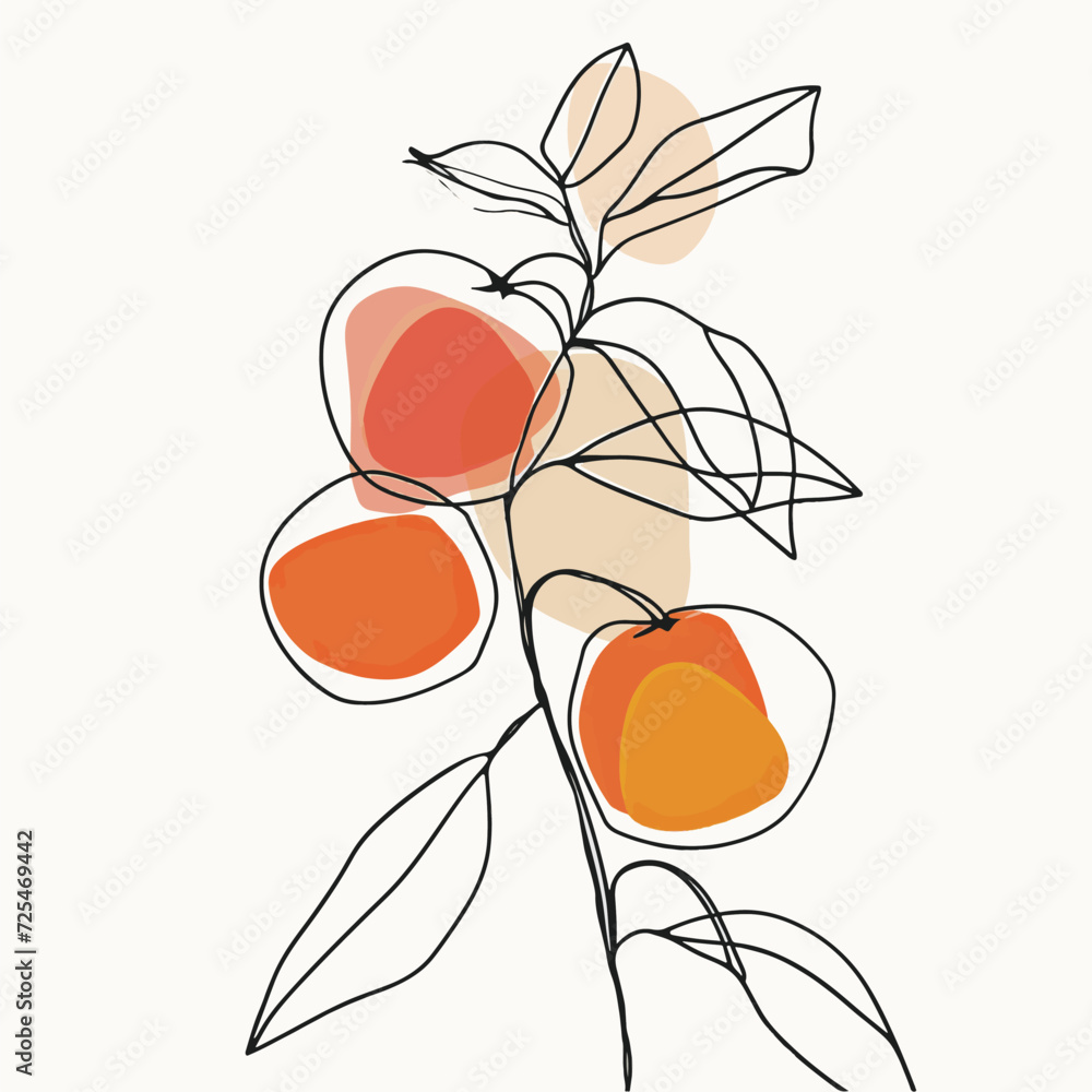 Wall mural Simple line drawing illustration of an orange on a tree branch